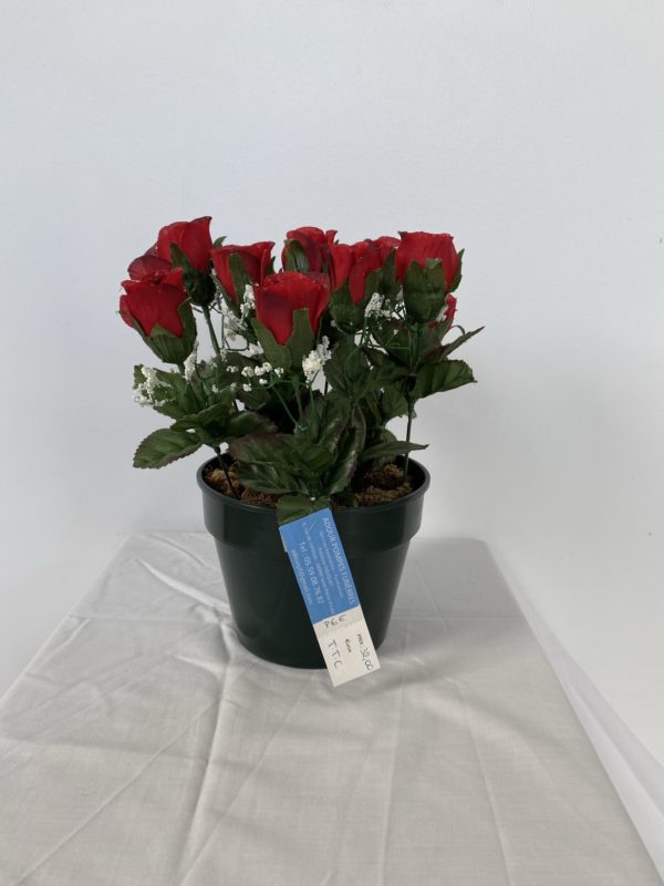 Composition de roses en pot lesté - REF - P6E
